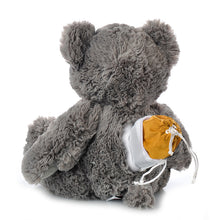 Load image into Gallery viewer, Gray Teddy Bear Plush Urn
