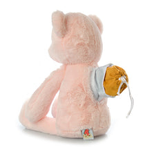 Load image into Gallery viewer, Pink Bear Plush Urn