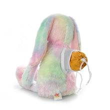 Load image into Gallery viewer, Tie Dye Bunny Plush Urn