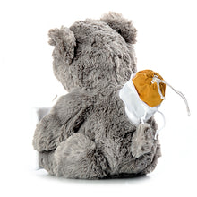 Load image into Gallery viewer, Gray Frame Bear Plush Urn