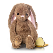 Load image into Gallery viewer, Brown Bunny Plush Urn