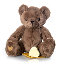 Load image into Gallery viewer, Brown Bear Plush Urn
