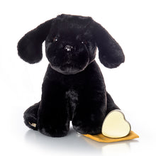 Load image into Gallery viewer, Black Dog Plush Urn