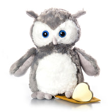 Load image into Gallery viewer, Owl Plush Urn