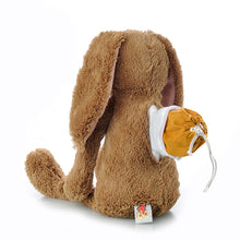 Load image into Gallery viewer, Brown Bunny Plush Urn
