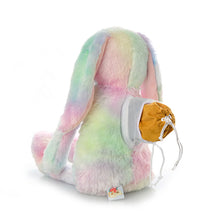 Load image into Gallery viewer, Tie Dye Bunny Plush Urn
