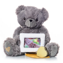 Load image into Gallery viewer, Gray Frame Bear Plush Urn
