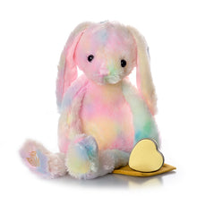 Load image into Gallery viewer, Tie Dye Bunny Plush Urn
