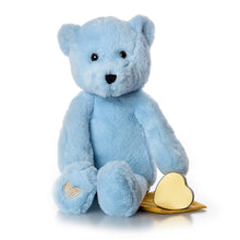 Load image into Gallery viewer, Blue Bear Plush Urn
